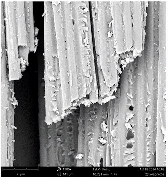 Fibers Journal Publication